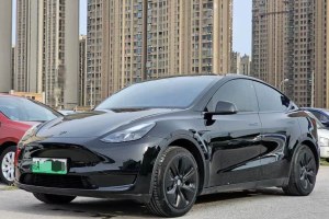 Model Y 特斯拉 改款 后輪驅(qū)動(dòng)版