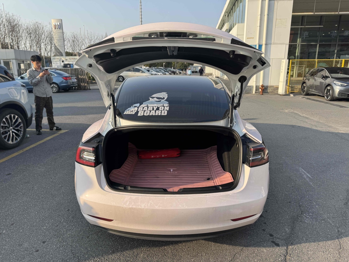 特斯拉 Model 3  2020款 改款 長(zhǎng)續(xù)航后輪驅(qū)動(dòng)版圖片