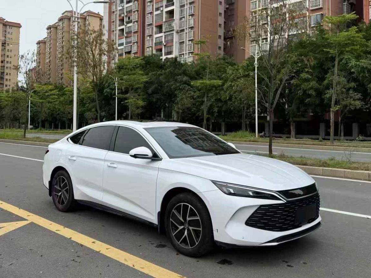 比亞迪 秦  2024款 出行版450圖片