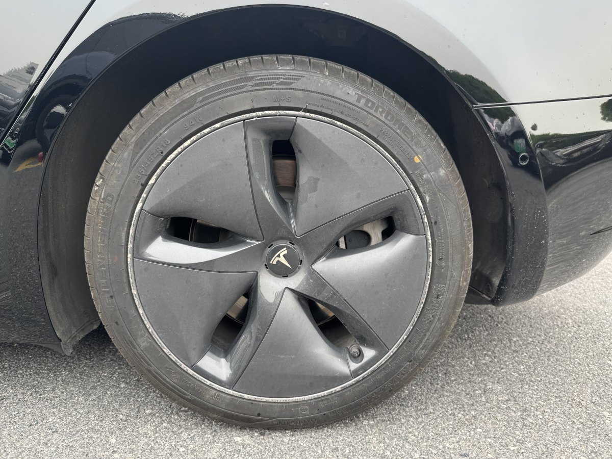 特斯拉 Model 3  2020款 改款 標(biāo)準(zhǔn)續(xù)航后驅(qū)升級(jí)版圖片