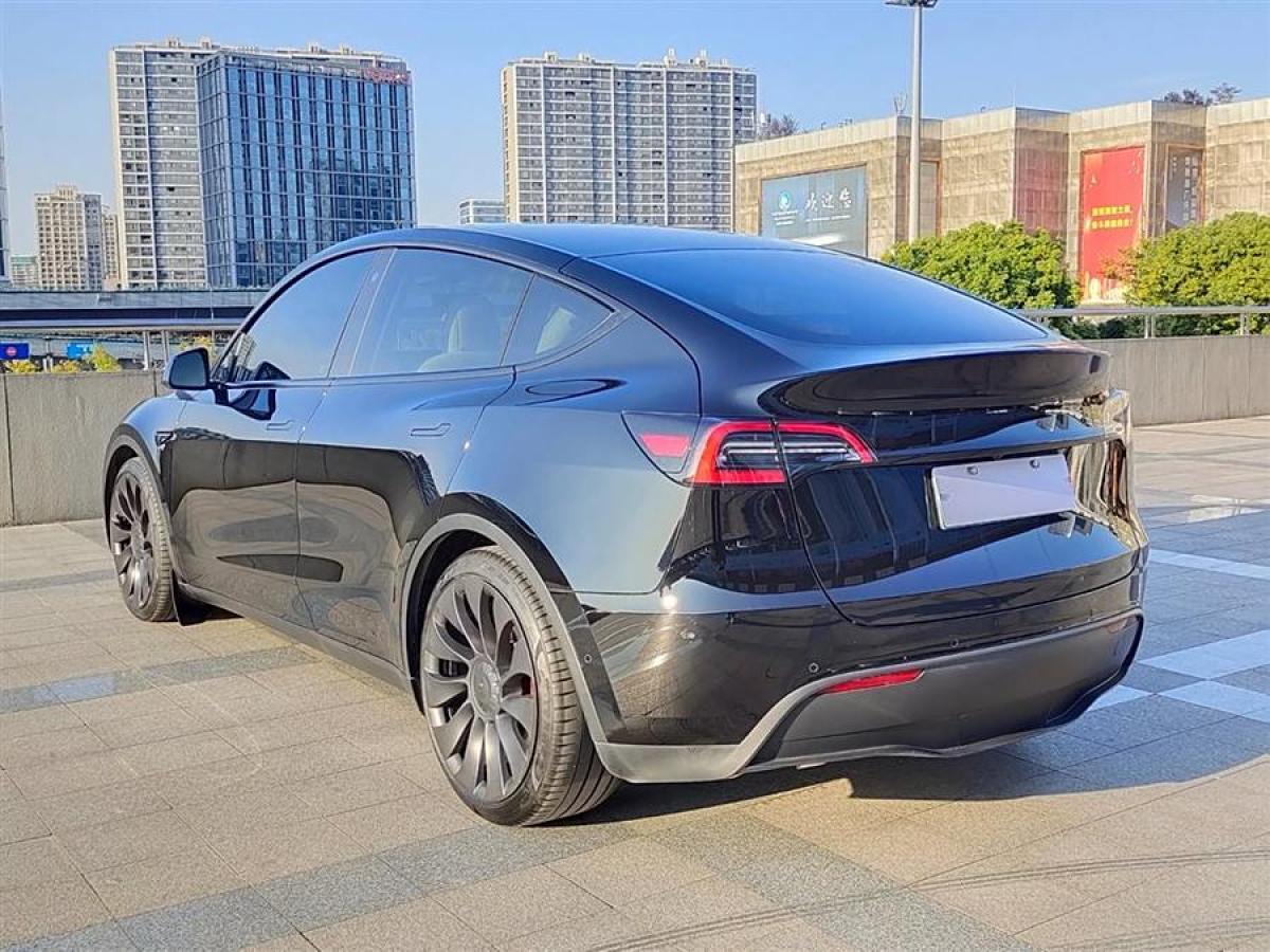 特斯拉 Model 3  2022款 Performance高性能全輪驅(qū)動(dòng)版圖片