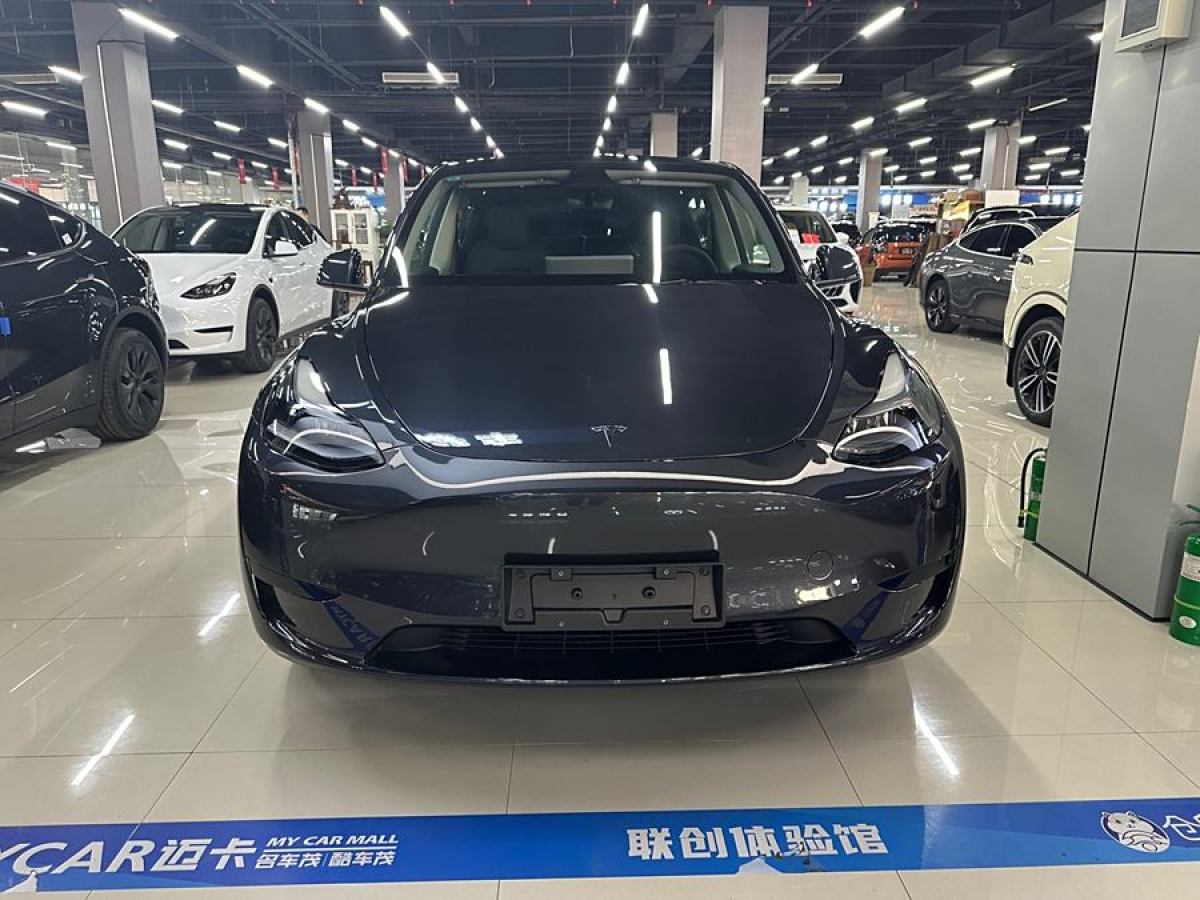 特斯拉 Model 3  2020款 改款 長續(xù)航后輪驅(qū)動(dòng)版圖片