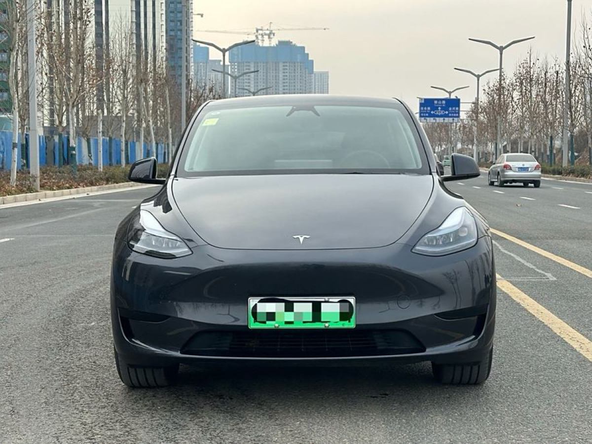 特斯拉 Model 3  2020款 改款 長續(xù)航后輪驅(qū)動版圖片