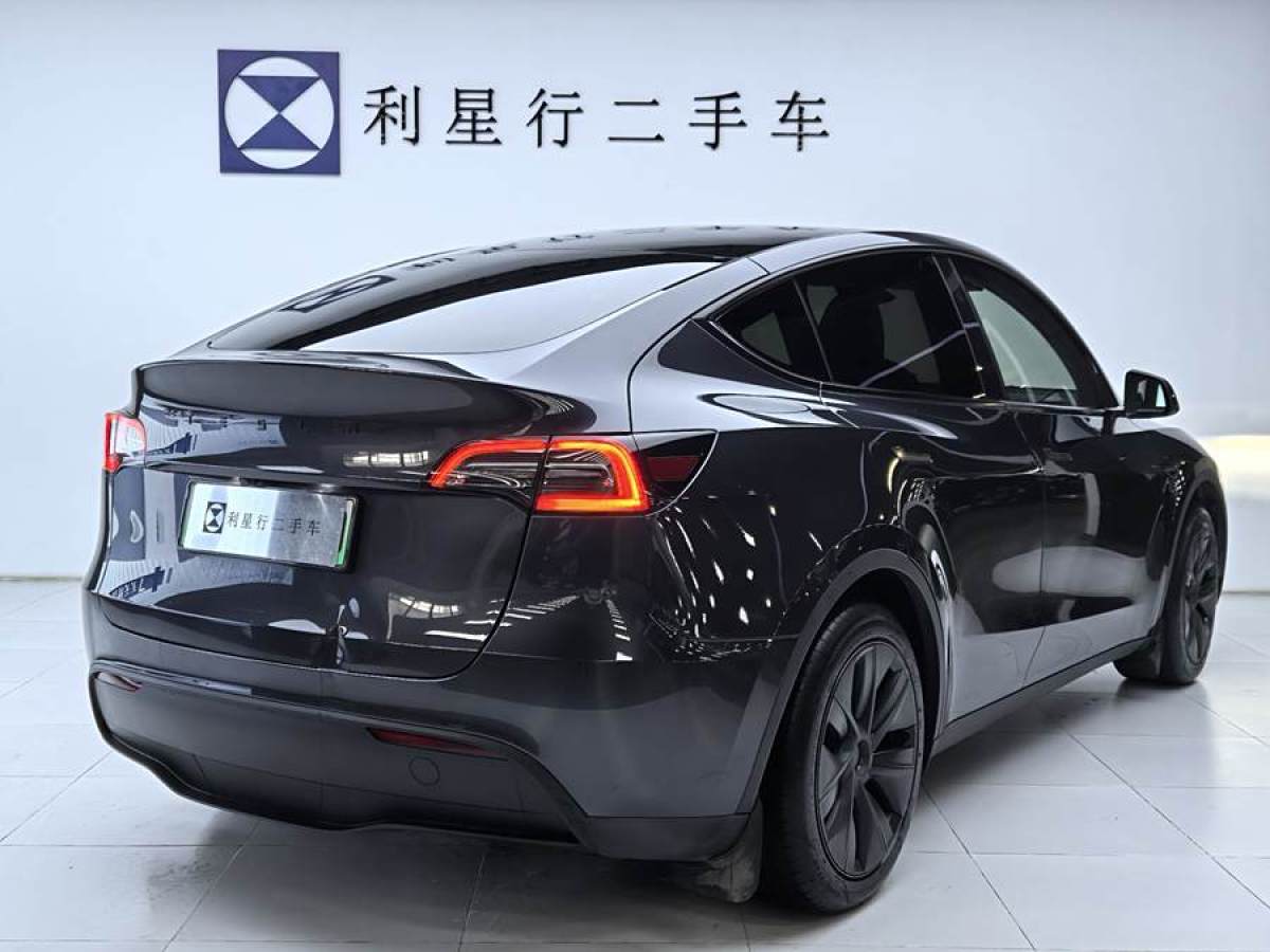 特斯拉 Model Y  2020款 改款 長續(xù)航后輪驅(qū)動版圖片