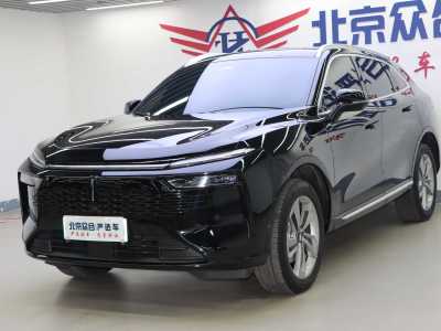 2024年6月 长城 摩卡DHT-PHEV 两驱长续航版图片