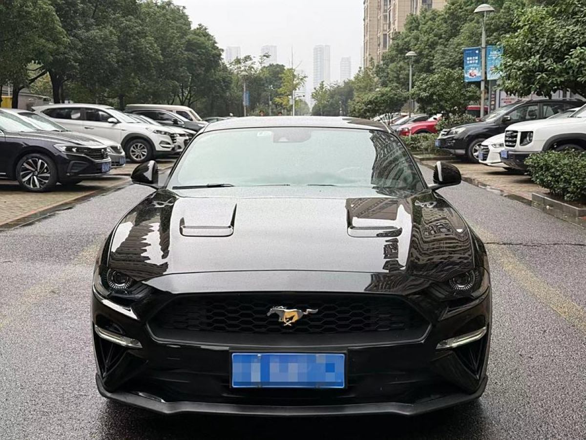 福特 Mustang  2019款 2.3L EcoBoost圖片