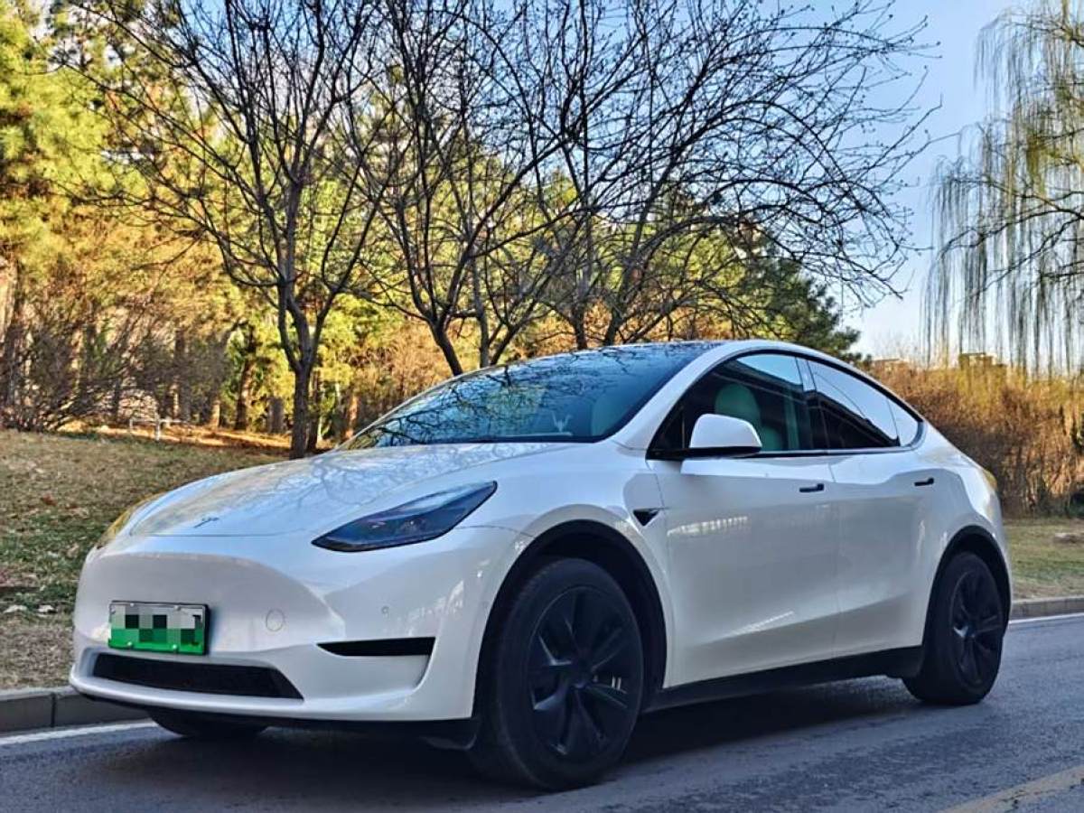 2023年8月特斯拉 Model 3  2022款 后輪驅(qū)動(dòng)版