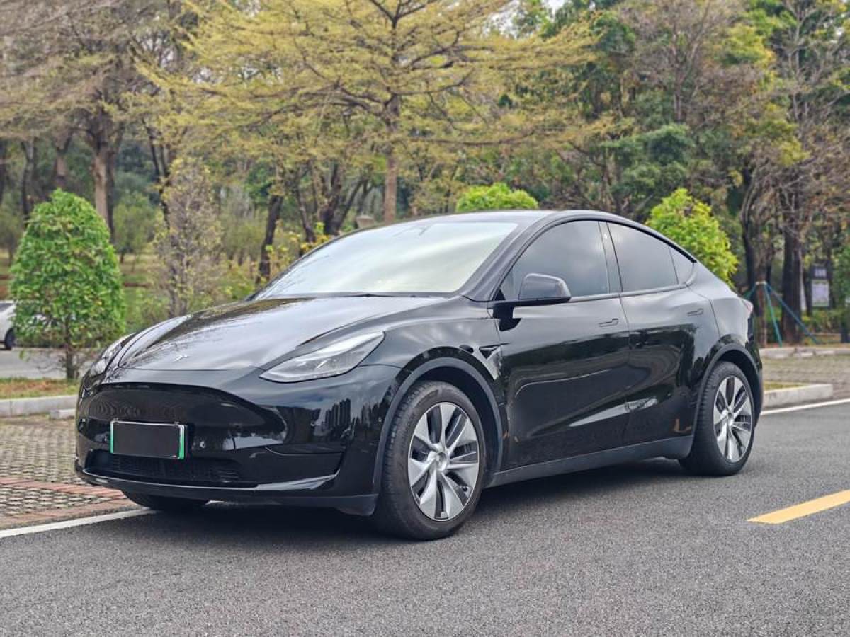 2022年3月特斯拉 Model 3  2022款 后輪驅(qū)動(dòng)版