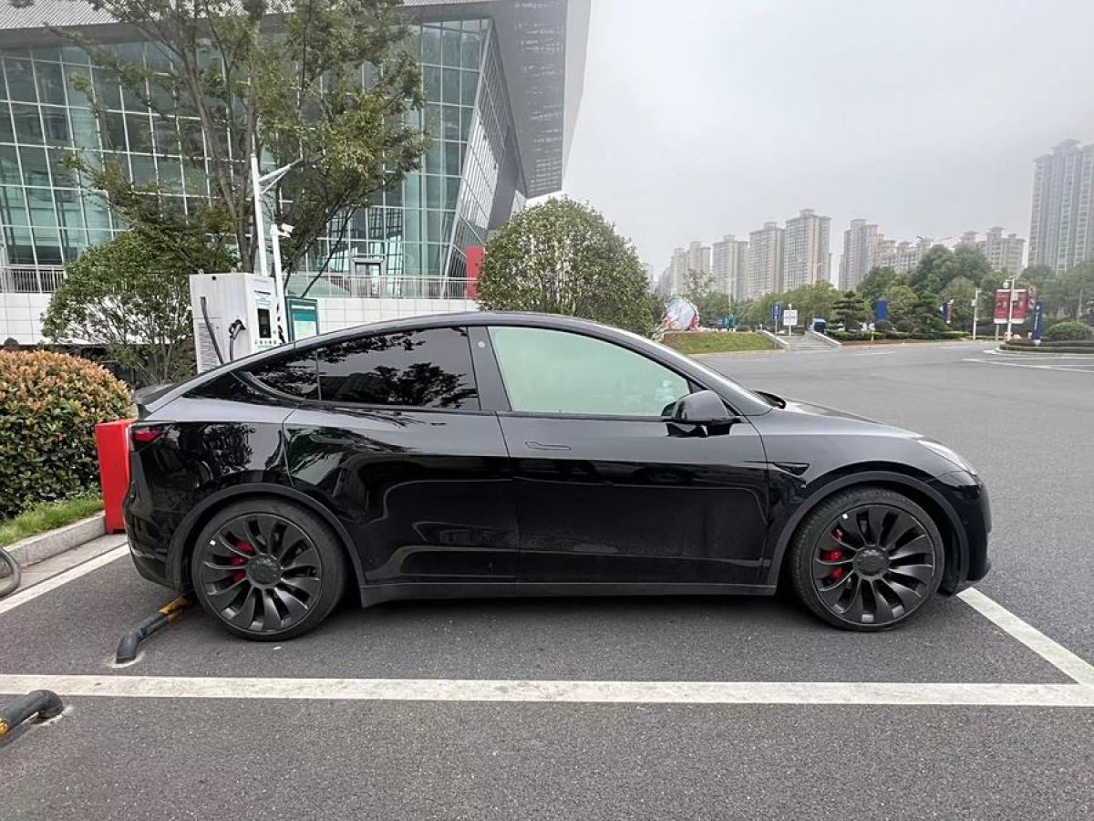 特斯拉 Model 3  2021款 改款 Performance高性能全輪驅(qū)動版圖片