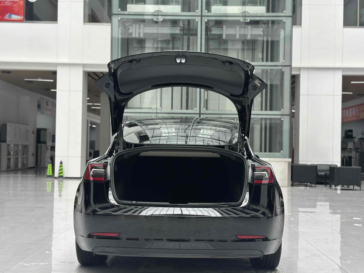 特斯拉 Model 3  2019款 標(biāo)準(zhǔn)續(xù)航后驅(qū)升級(jí)版圖片