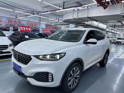 2020年1月 WEY VV6 2.0T 兩驅(qū)智享+圖片