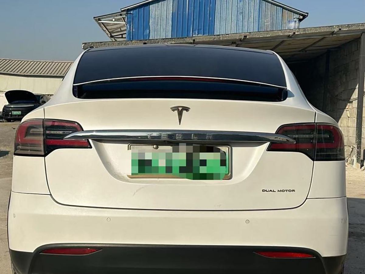 特斯拉 Model X  2019款 長續(xù)航版圖片