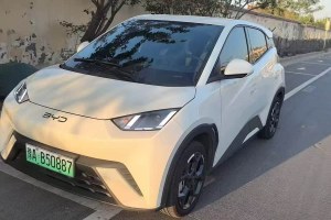 海鷗 比亞迪 榮耀版 405km 飛翔版