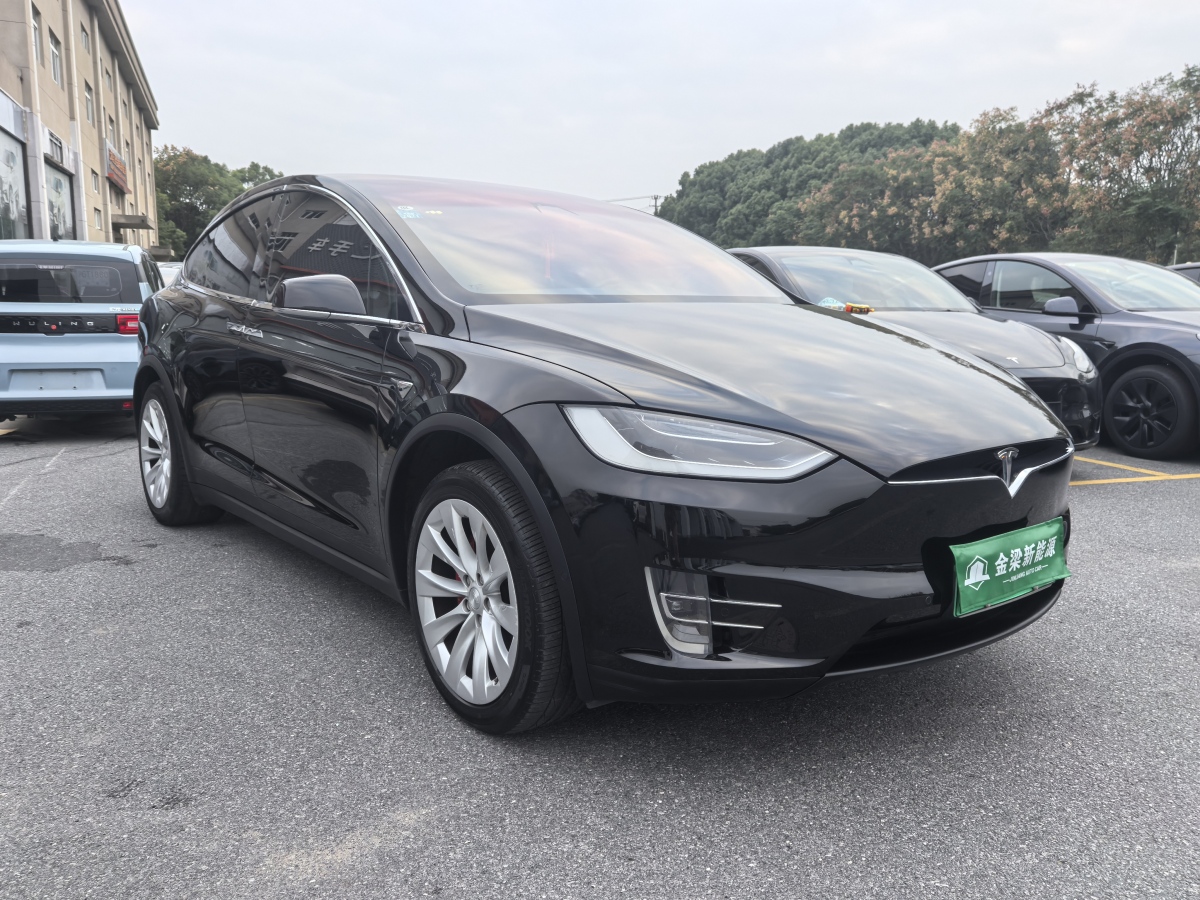 特斯拉 Model X  2019款 Performance 高性能版圖片