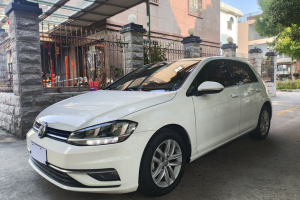 高爾夫 大眾 230TSI 自動(dòng)舒適型