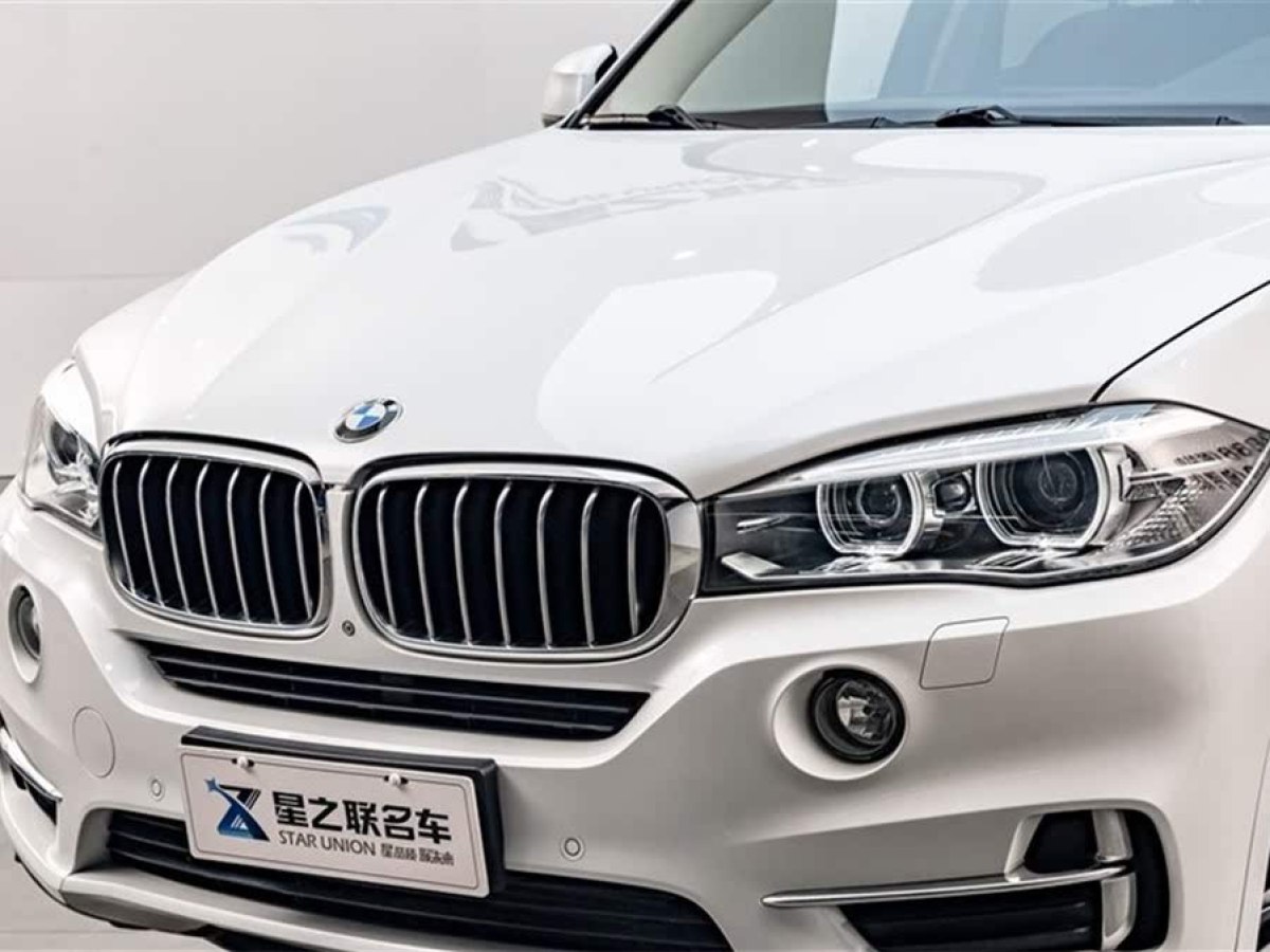 寶馬 寶馬X5  2017款 xDrive35i 典雅型圖片