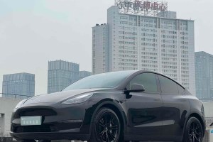 Model Y 特斯拉 標(biāo)準(zhǔn)續(xù)航后驅(qū)版