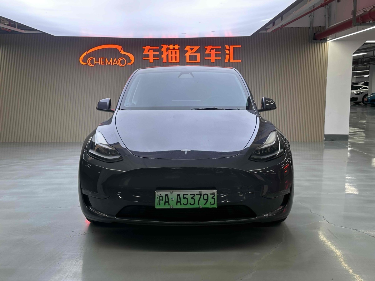 特斯拉 Model Y  2021款 標準續(xù)航后驅(qū)版圖片