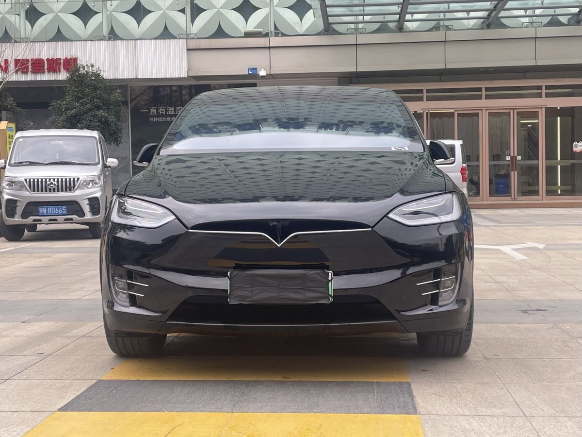 特斯拉 Model X  2016款 Model X 75D圖片