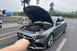 奔馳CLS級 奔馳 CLS 300 動感型