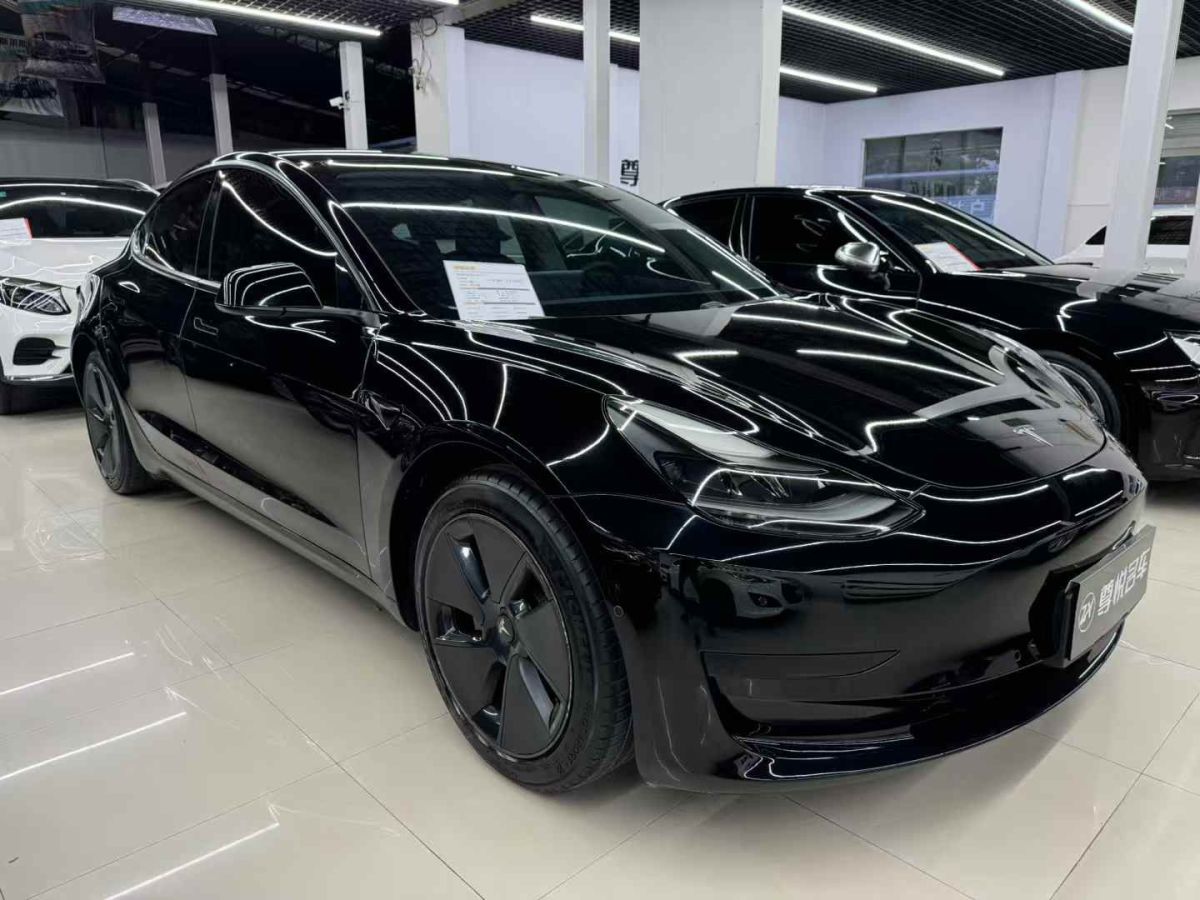 特斯拉 Model Y  2021款 標(biāo)準(zhǔn)續(xù)航后驅(qū)版圖片