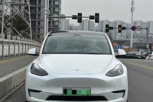 Model Y 特斯拉 Performance高性能全輪驅(qū)動版