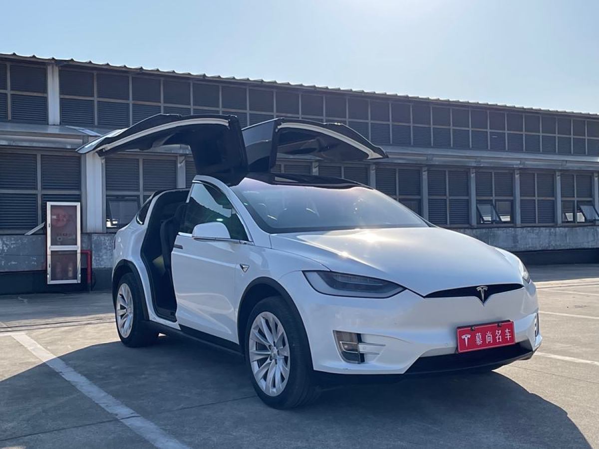 特斯拉 Model X  2019款 長續(xù)航版圖片