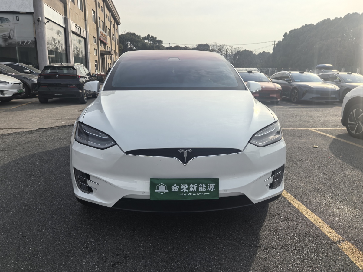 特斯拉 Model X  2019款 長續(xù)航版圖片