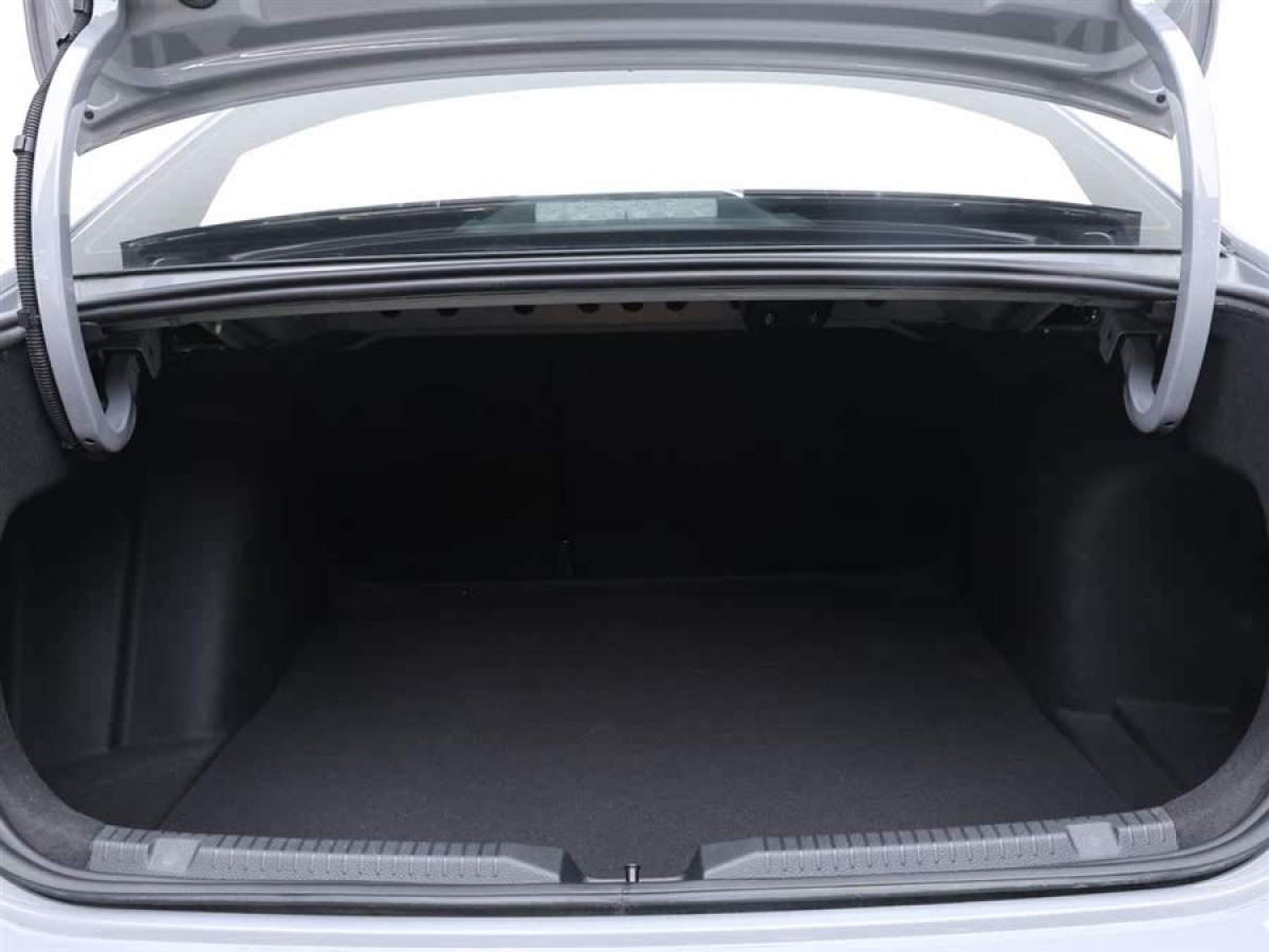 大眾 朗逸  2023款 300TSI DSG星空永逸版圖片