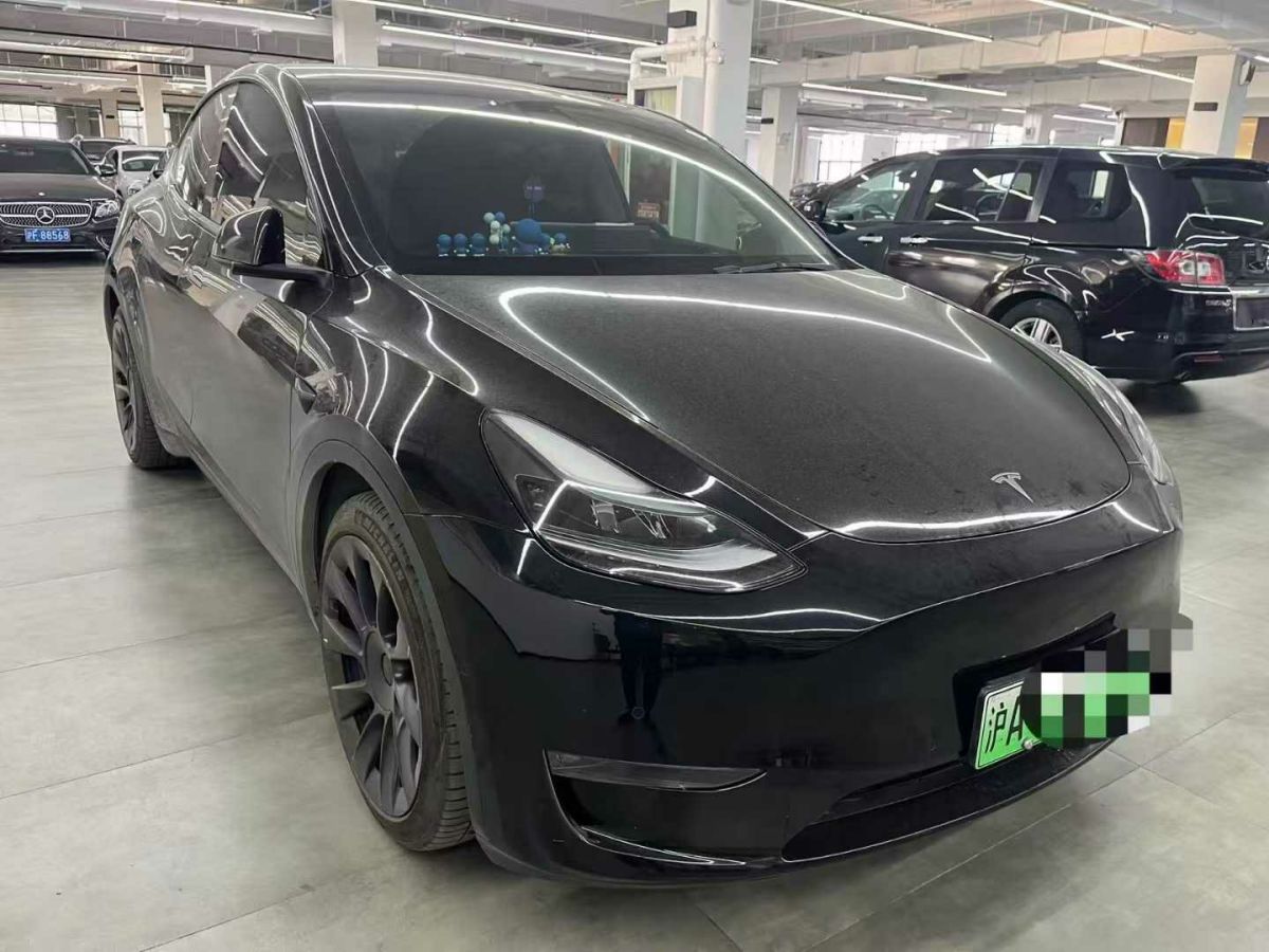 特斯拉 Model Y  2021款 標(biāo)準(zhǔn)續(xù)航后驅(qū)版圖片