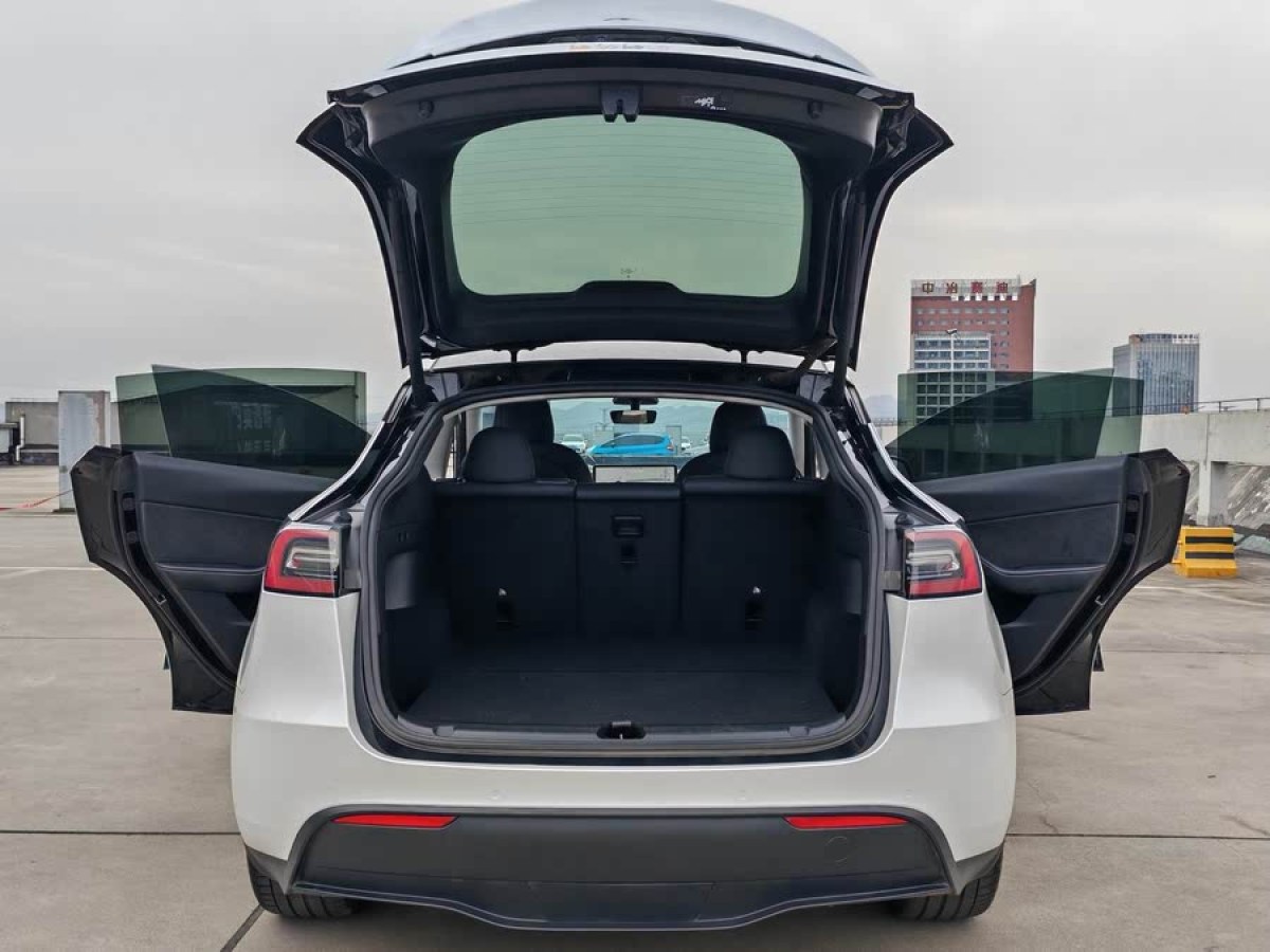 特斯拉 Model Y  2021款 標(biāo)準(zhǔn)續(xù)航后驅(qū)版圖片