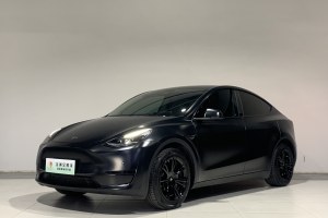 Model 3 特斯拉 后輪驅(qū)動版