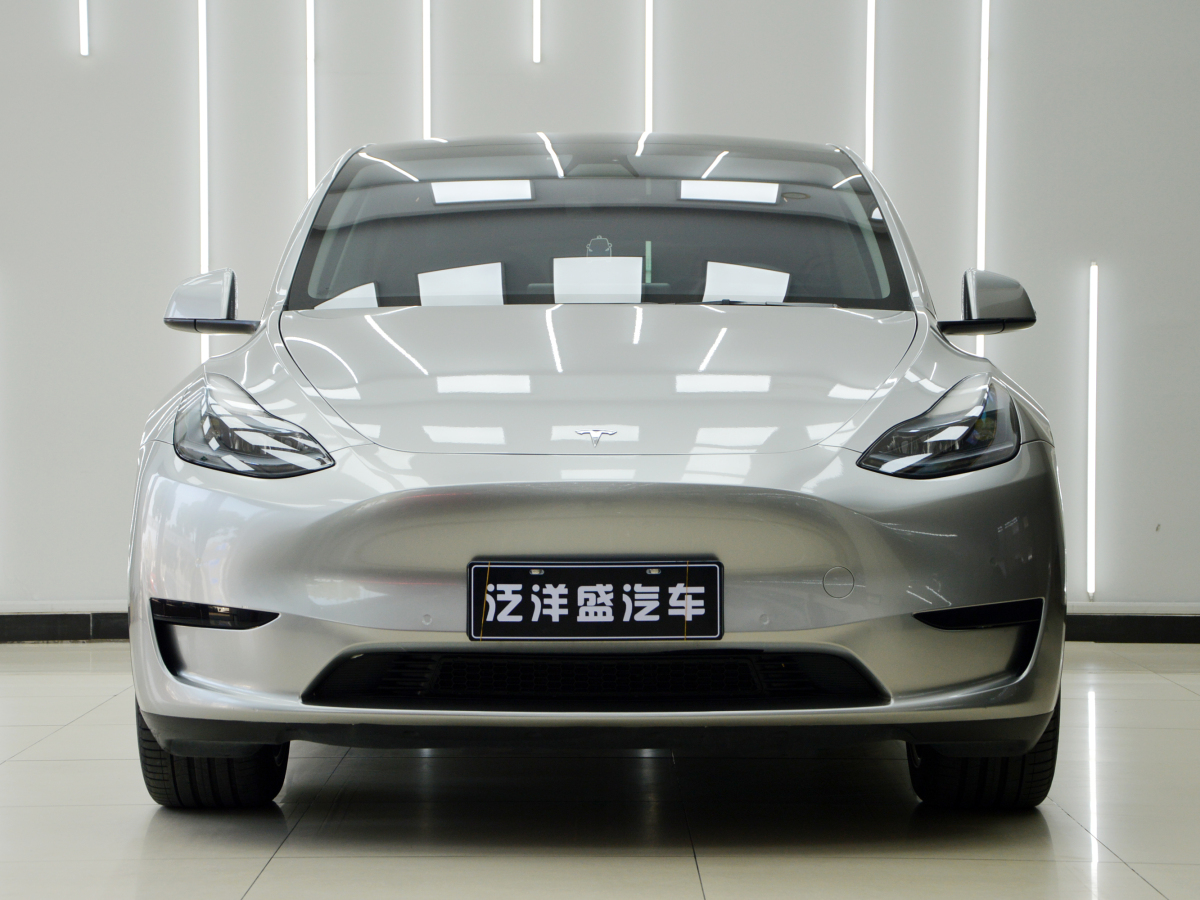 特斯拉 Model 3  2022款 后輪驅(qū)動(dòng)版圖片