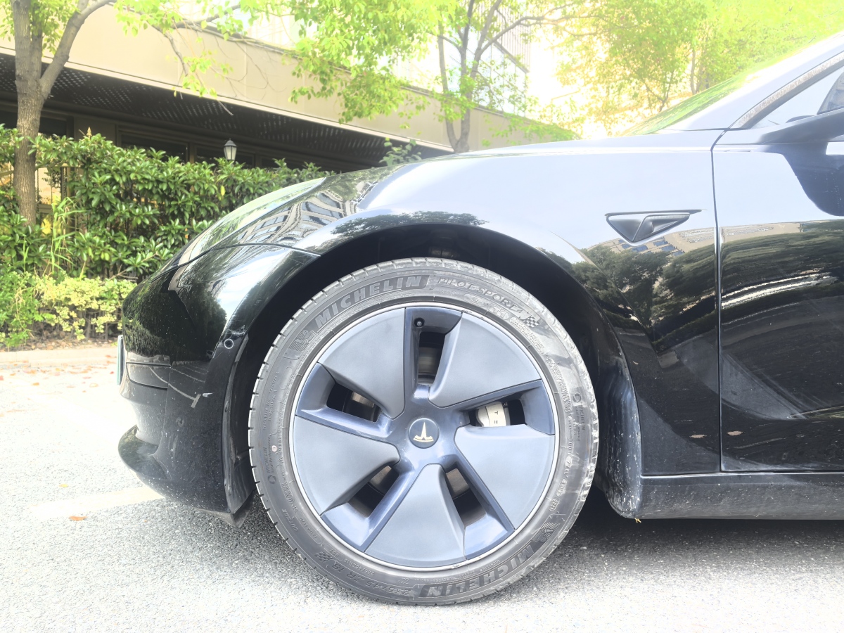特斯拉 Model 3  2021款 標(biāo)準(zhǔn)續(xù)航后驅(qū)升級版 3D6圖片