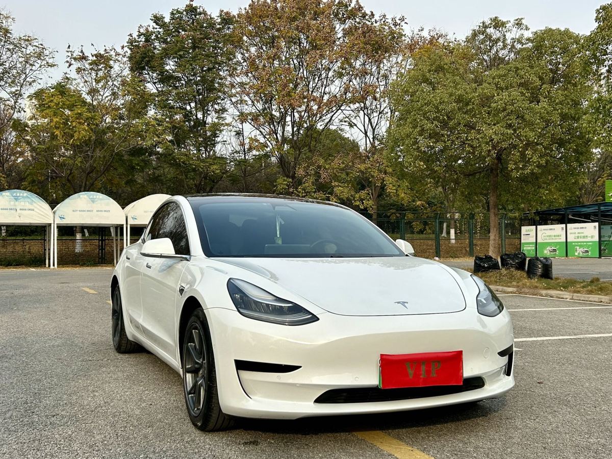 特斯拉 Model 3  2019款 標(biāo)準(zhǔn)續(xù)航后驅(qū)升級(jí)版圖片