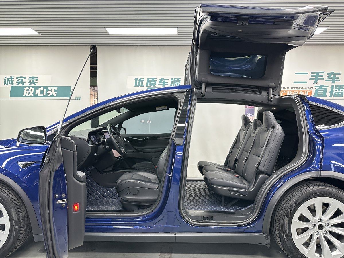 特斯拉 Model X  2017款 Model X 100D 長續(xù)航版圖片