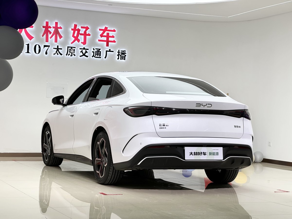 2024年6月比亞迪 海豹06 DM-i  2024款 DM-i 120KM旗艦型