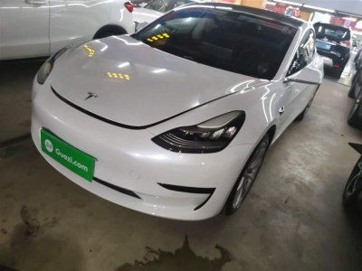 2020年5月 特斯拉 Model 3 標準續(xù)航后驅(qū)升級版圖片