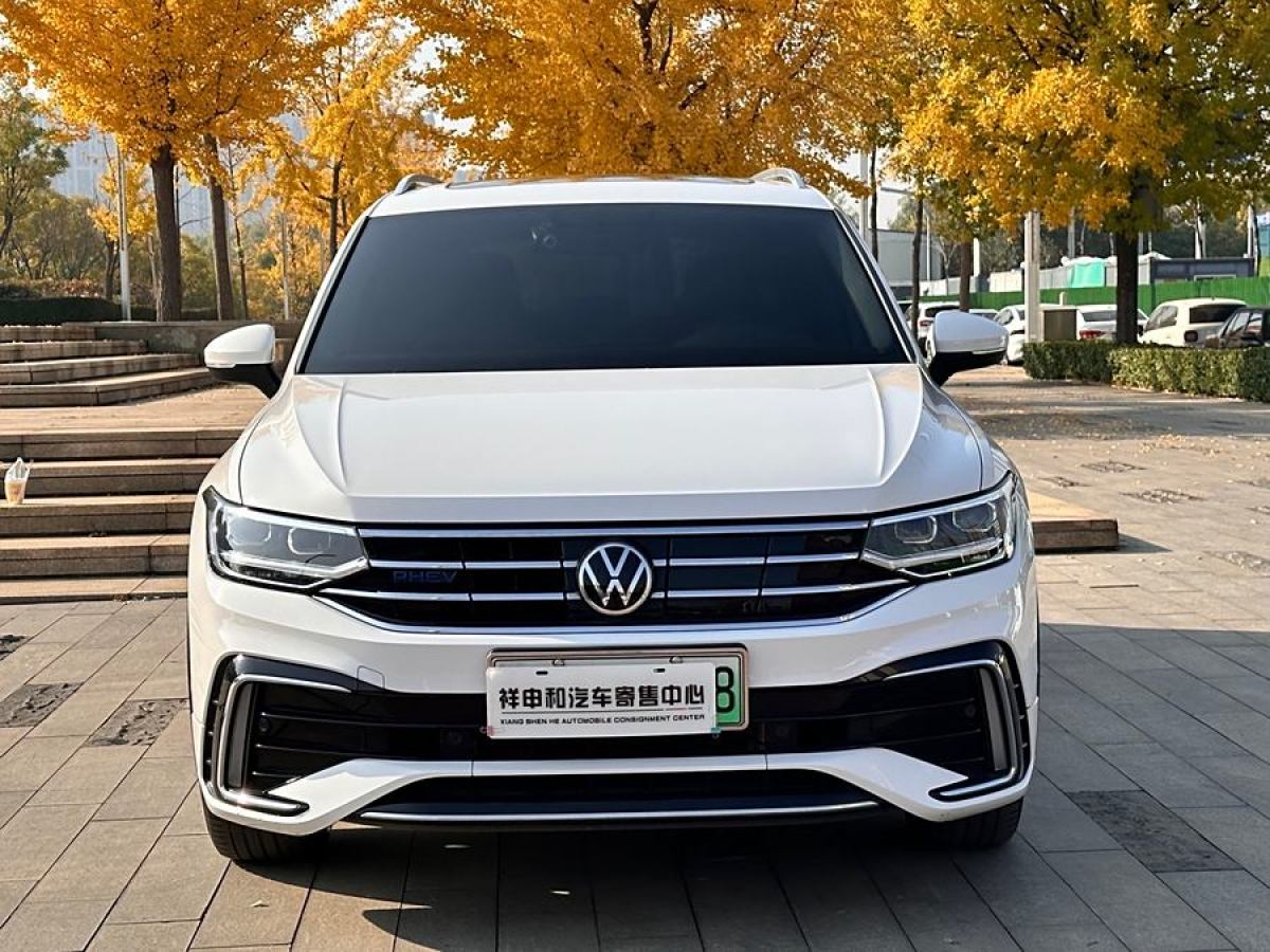 大眾 途觀L新能源  2022款 430PHEV 插電混動尊貴版圖片