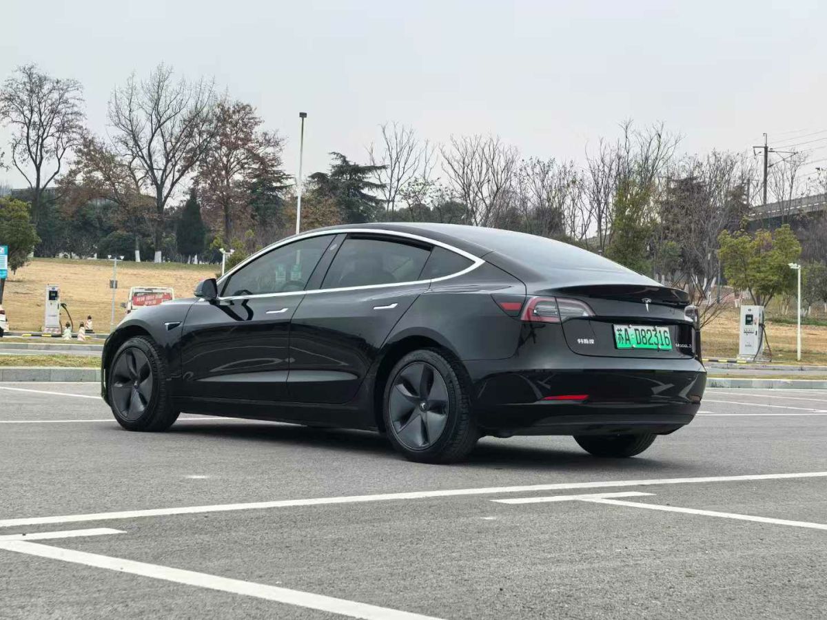 特斯拉 Model X  2020款 Performance 高性能版圖片