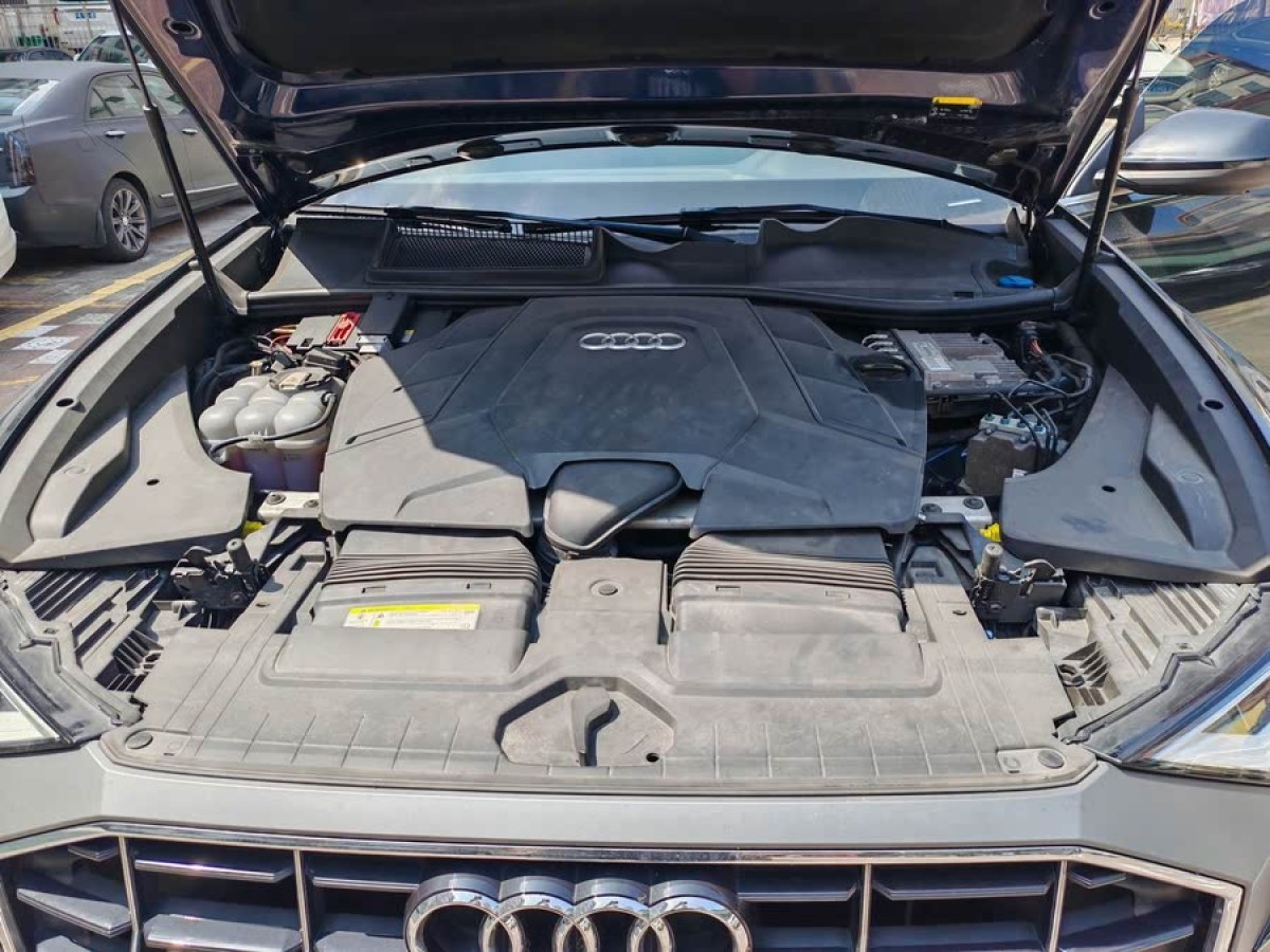 奧迪 奧迪Q8  2019款 55 TFSI 豪華動(dòng)感型圖片