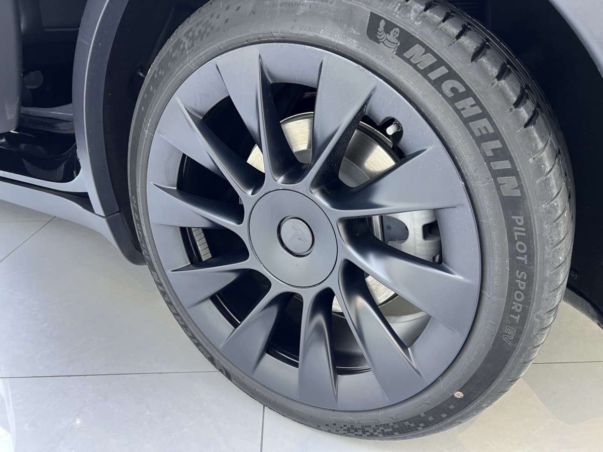 特斯拉 Model Y  2022款 后驅(qū)版圖片