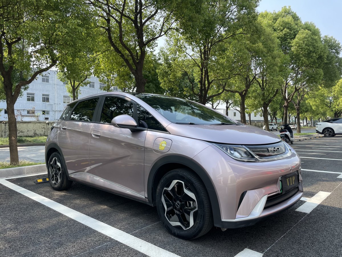 2022年11月比亞迪 海豚  2021款 405km 時(shí)尚版