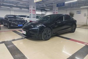 Model 3 特斯拉 后輪驅(qū)動(dòng)版