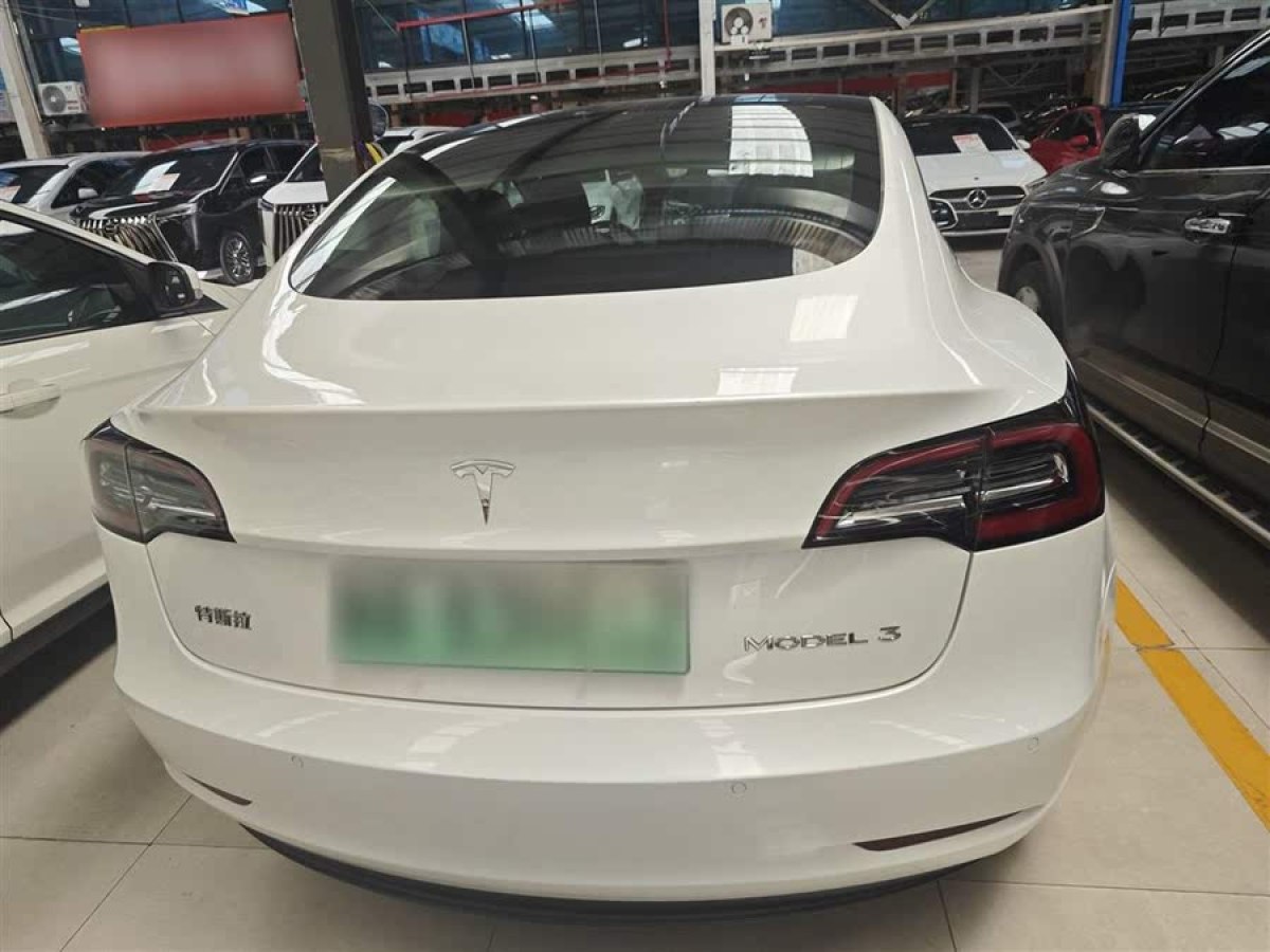 特斯拉 Model 3  2019款 標(biāo)準(zhǔn)續(xù)航后驅(qū)升級(jí)版圖片