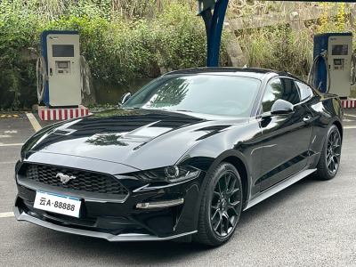 2021年3月 福特 Mustang(进口) 2.3L EcoBoost 驰影性能进阶版图片