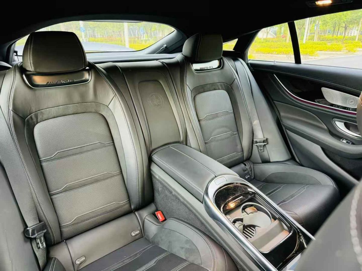 奔馳 奔馳AMG GT  2021款 AMG GT Black Series圖片