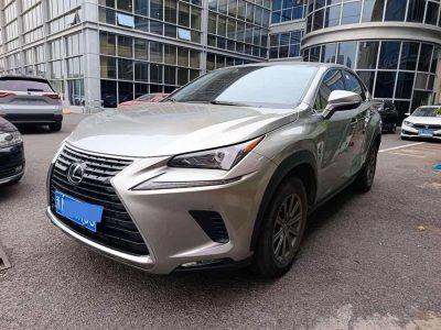 2020年8月 雷克薩斯 NX 200 前驅(qū) 鋒行版 國V圖片