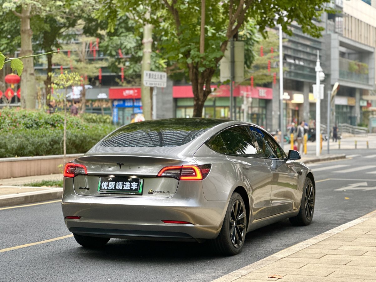 特斯拉 Model 3  2019款 標(biāo)準(zhǔn)續(xù)航后驅(qū)升級(jí)版圖片