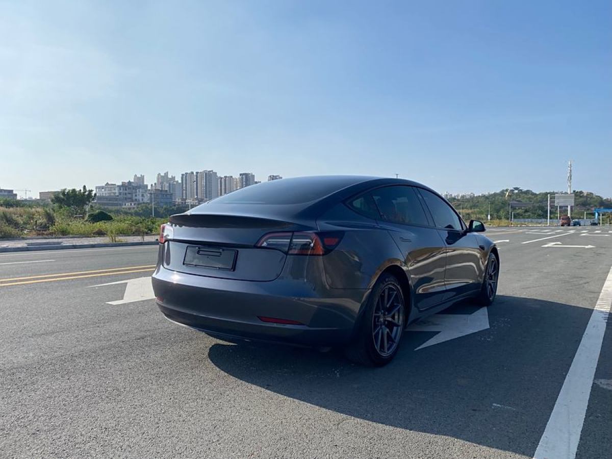 特斯拉 Model Y  2020款 改款 長(zhǎng)續(xù)航后輪驅(qū)動(dòng)版圖片